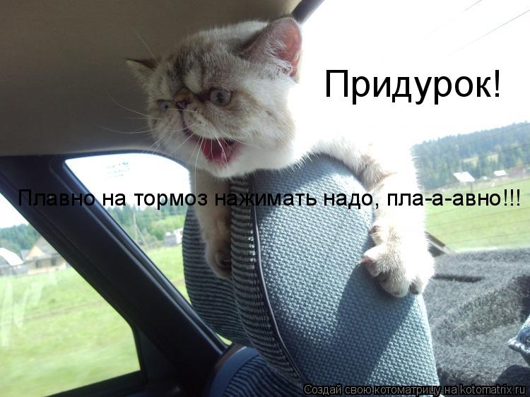 Придурок! Плавно на тормоз нажимать надо, пла-а-авно!!!... Котоматрица: Придурок! Плавно на тормоз нажимать надо, пла-а-авно!!!