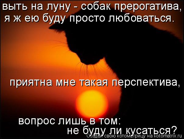 выть на луну - собак прерогатива, я ж ею буду просто любоваться. приятна мне такая перспектива, во... Котоматрица: выть на луну - собак прерогатива, я ж ею буду просто любоваться. приятна мне такая перспектива, вопрос лишь в том: не буду ли кусаться?