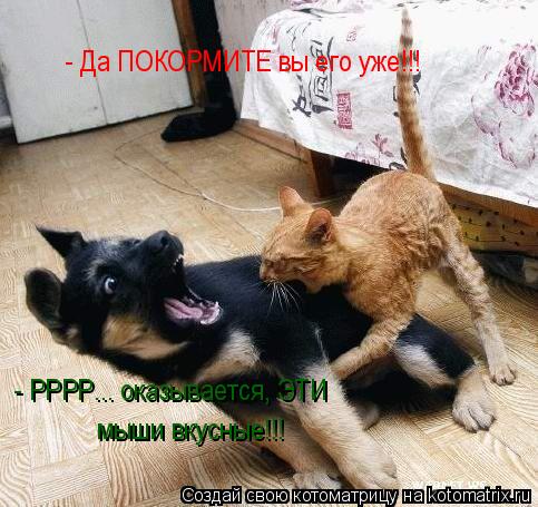 - Да ПОКОРМИТЕ вы его уже!!! - РРРР... оказывается, ЭТИ мыши вкусные!!!... Котоматрица: - Да ПОКОРМИТЕ вы его уже!!! - РРРР... оказывается, ЭТИ мыши вкусные!!!