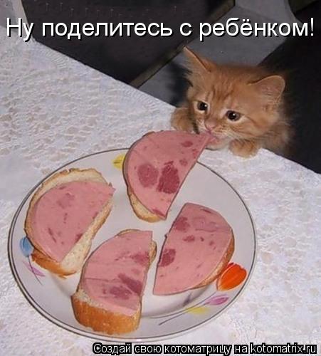 Ну поделитесь с ребёнком!... Котоматрица: Ну поделитесь с ребёнком!