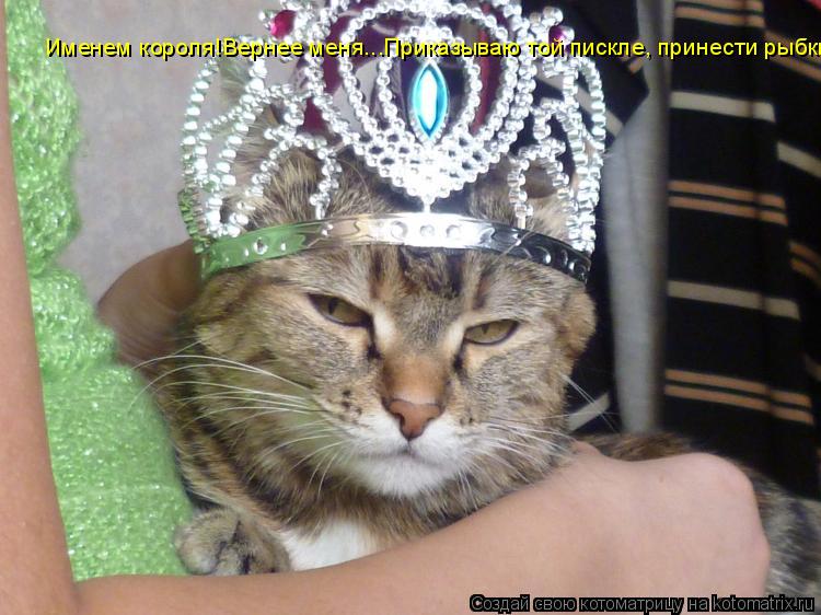 Именем короля!Вернее меня...Приказываю той пискле, принести рыбки!... Котоматрица: Именем короля!Вернее меня...Приказываю той пискле, принести рыбки!