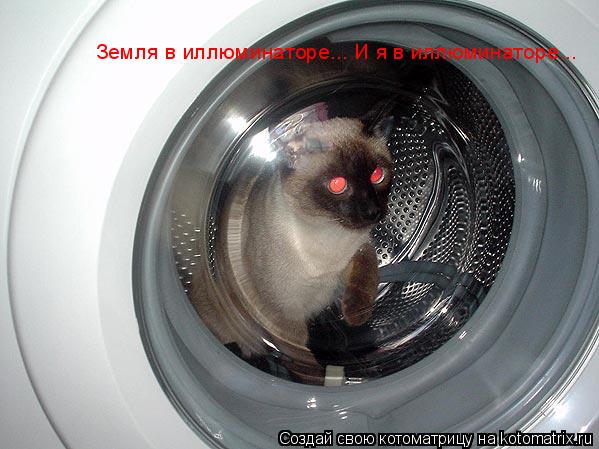 Земля в иллюминаторе... И я в иллюминаторе...... Котоматрица: Земля в иллюминаторе... И я в иллюминаторе...