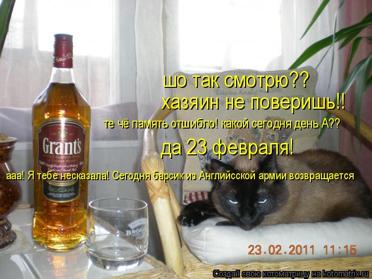 шо так смотрю?? хазяин не поверишь!! те чё память отшибло! какой сегодня день А?? да 23 февраля! ааа!... Котоматрица: шо так смотрю?? хазяин не поверишь!! те чё память отшибло! какой сегодня день А?? да 23 февраля! ааа! Я тебе несказала! Сегодня барсик из Английс