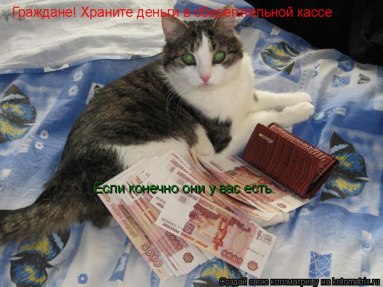 Граждане! Храните деньги в сберегательной кассе Если конечно они у вас есть.... Котоматрица: Граждане! Храните деньги в сберегательной кассе Если конечно они у вас есть.