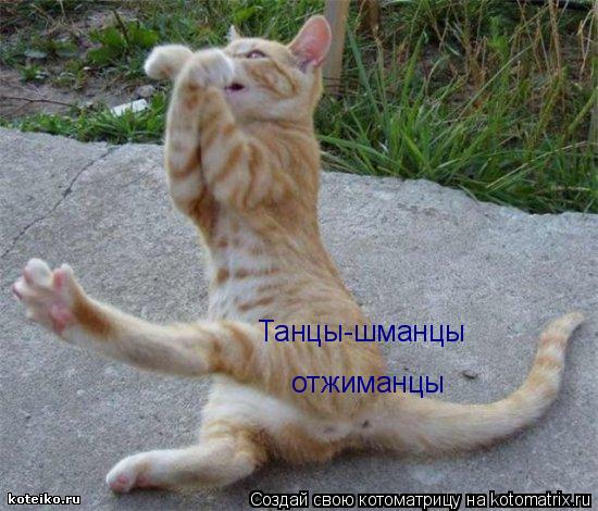Танцы-шманцы отжиманцы... Котоматрица: Танцы-шманцы отжиманцы