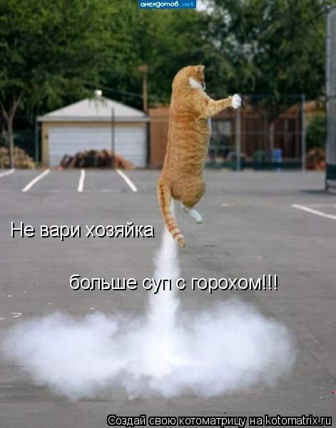 Не вари хозяйка больше суп с горохом!!!... Котоматрица: Не вари хозяйка больше суп с горохом!!!