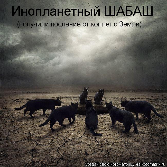 Инопланетный ШАБАШ (получили послание от коллег с Земли)... Котоматрица: Инопланетный ШАБАШ (получили послание от коллег с Земли)