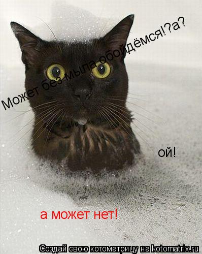 Может без мыла обойдёмся!?а? Может без мыла обойдёмся!?а? а может нет! ой!... Котоматрица: Может без мыла обойдёмся!?а? Может без мыла обойдёмся!?а? а может нет! ой!