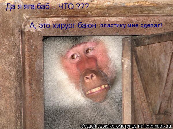 Да я яга баб... ЧТО ??? А, это хирург-баюн пластику мне сделал!... Котоматрица: Да я яга баб... ЧТО ??? А, это хирург-баюн пластику мне сделал!