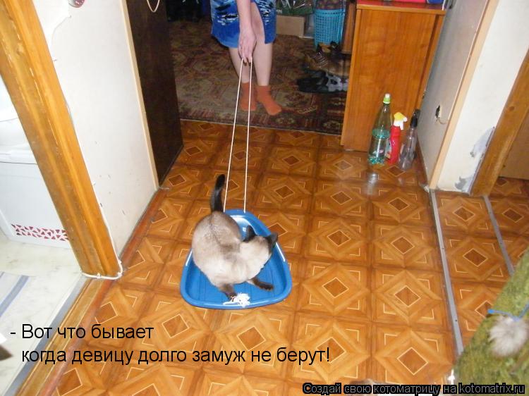 - Вот что бывает когда девицу долго замуж не берут!... Котоматрица: - Вот что бывает когда девицу долго замуж не берут!