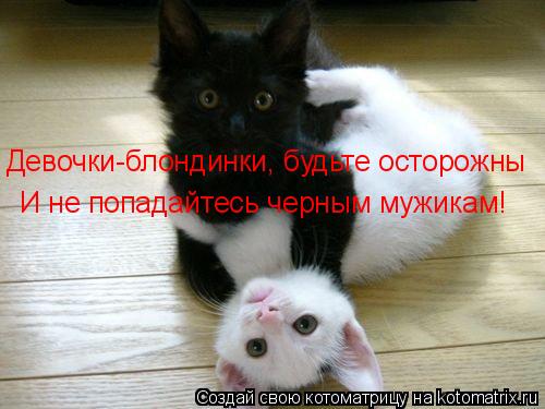 Девочки-блондинки, будьте осторожны И не попадайтесь черным мужикам!... Котоматрица: Девочки-блондинки, будьте осторожны И не попадайтесь черным мужикам!