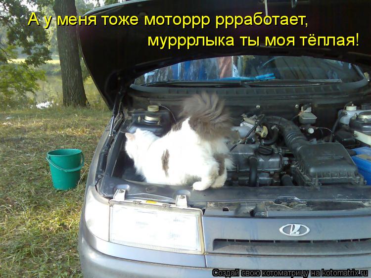 А у меня тоже моторрр ррработает, мурррлыка ты моя тёплая!... Котоматрица: А у меня тоже моторрр ррработает, мурррлыка ты моя тёплая!