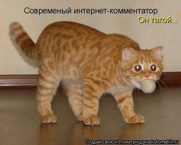 Современый интернет-комментатор Он такой...... Котоматрица: Современый интернет-комментатор Он такой...