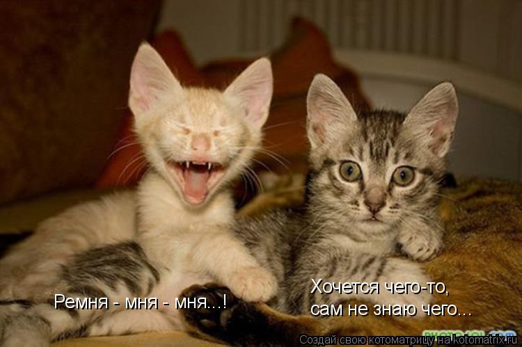 Хочется чего-то, сам не знаю чего... Ремня - мня - мня...!... Котоматрица: Хочется чего-то, сам не знаю чего... Ремня - мня - мня...!