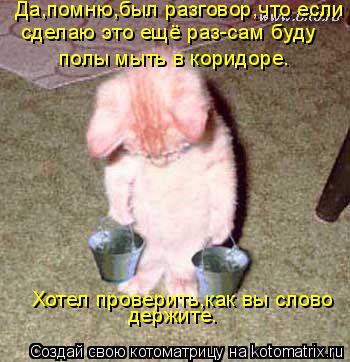 Да,помню,был разговор,что если сделаю это ещё раз-сам буду полы мыть в коридоре. держите. Хотел прове... Котоматрица: Да,помню,был разговор,что если сделаю это ещё раз-сам буду полы мыть в коридоре. держите. Хотел проверить,как вы слово