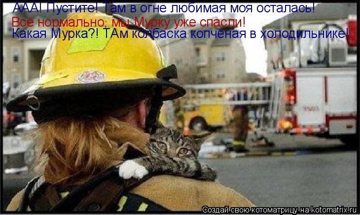 ААА! Пустите! Там в огне любимая моя осталась! Всё нормально, мы Мурку уже спасли! Какая Мурка?! ТАм ... Котоматрица: ААА! Пустите! Там в огне любимая моя осталась! Всё нормально, мы Мурку уже спасли! Какая Мурка?! ТАм колбаска копчёная в холодильнике!