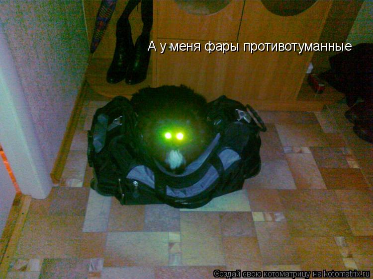 А у меня фары противотуманные... Котоматрица: А у меня фары противотуманные