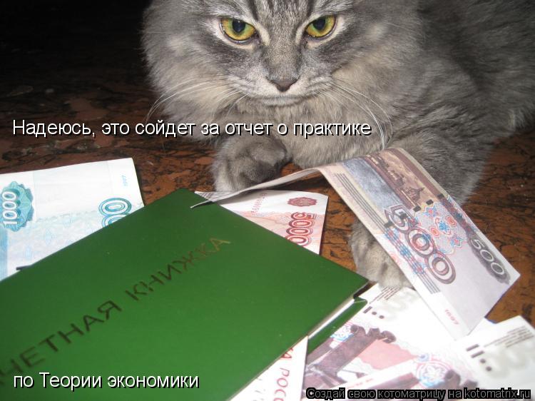 Надеюсь, это сойдет за отчет о практике по Теории экономики... Котоматрица: Надеюсь, это сойдет за отчет о практике по Теории экономики