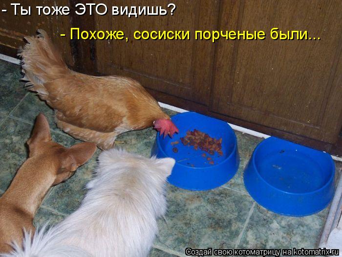 - Ты тоже ЭТО видишь? - Похоже, сосиски порченые были...... Котоматрица: - Ты тоже ЭТО видишь? - Похоже, сосиски порченые были...