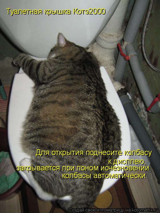Туалетная крышка Котэ2000 Для открытия поднесите колбасу к дисплею, закрывается при поном исчезновен... Котоматрица: Туалетная крышка Котэ2000 Для открытия поднесите колбасу к дисплею, закрывается при поном исчезновении колбасы автоматически.