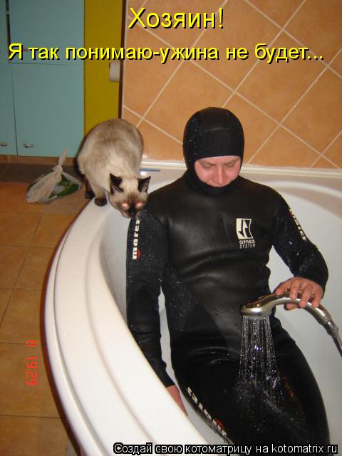 Я так понимаю-ужина не будет... Хозяин!... Котоматрица: Я так понимаю-ужина не будет... Хозяин!