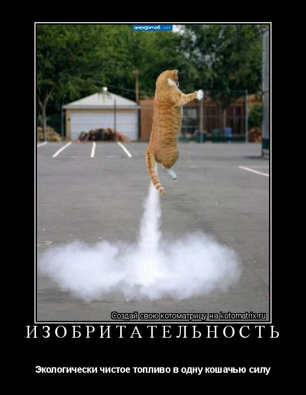 Изобритательность Экологически чистое топливо в одну кошачью силу... Котоматрица: Изобритательность Экологически чистое топливо в одну кошачью силу