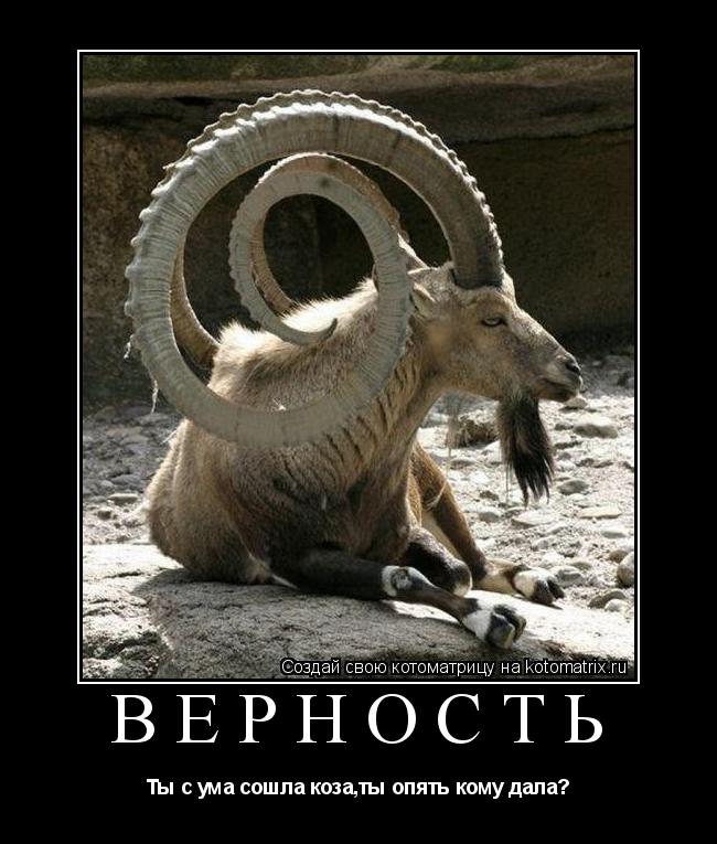 Верность Ты с ума сошла коза,ты опять кому дала?... Котоматрица: Верность Ты с ума сошла коза,ты опять кому дала?