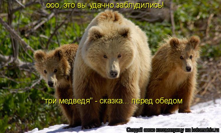 ооо, это вы удачно заблудились! "три медведя" - сказка... перед обедом... Котоматрица: ооо, это вы удачно заблудились! "три медведя" - сказка... перед обедом