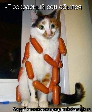 -Прекрасный сон сбылся... Котоматрица: -Прекрасный сон сбылся