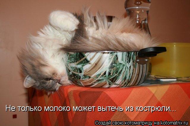 Не только молоко может вытечь из кострюли...... Котоматрица: Не только молоко может вытечь из кострюли...