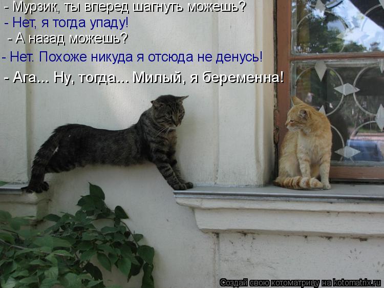 - Мурзик, ты вперед шагнуть можешь? - Нет, я тогда упаду! - А назад можешь? - Нет. Похоже никуда я от... Котоматрица: - Мурзик, ты вперед шагнуть можешь? - Нет, я тогда упаду! - А назад можешь? - Нет. Похоже никуда я отсюда не денусь! - Ага... Ну, тогда... Милый, я бе