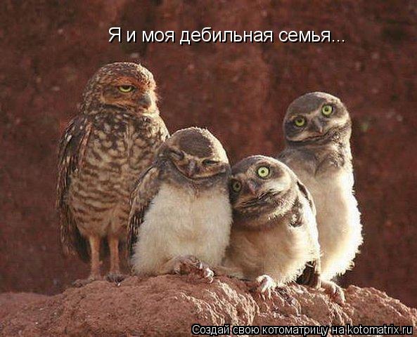 http://kotomatrix.ru/images/lolz/2011/02/24/833621.jpg