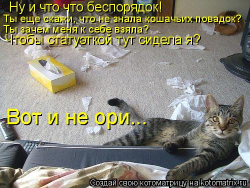 Ну и что что беспорядок! Ты еще скажи, что не знала кошачьих повадок? Ты зачем меня к себе взяла? Что... Котоматрица: Ну и что что беспорядок! Ты еще скажи, что не знала кошачьих повадок? Ты зачем меня к себе взяла? Чтобы статуэткой тут сидела я? Вот и не ори...