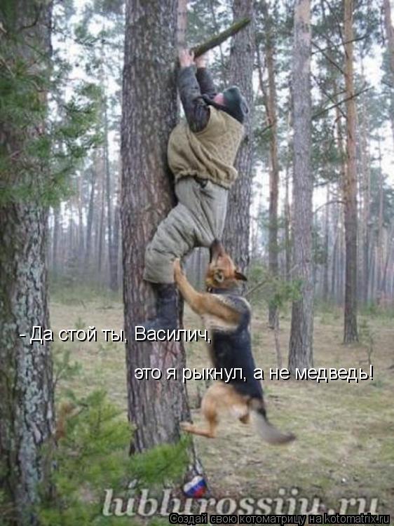 - Да стой ты, Василич, это я рыкнул, а не медведь!... Котоматрица: - Да стой ты, Василич, это я рыкнул, а не медведь!