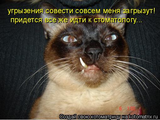 угрызения совести совсем меня загрызут! придется все же идти к стоматологу...... Котоматрица: угрызения совести совсем меня загрызут! придется все же идти к стоматологу...