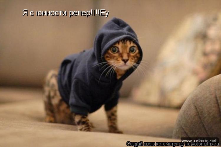 Я с юнности репер!!!!Еу... Котоматрица: Я с юнности репер!!!!Еу