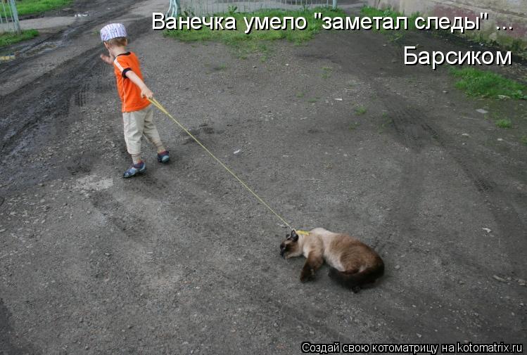 Ванечка умело "заметал следы" ... Барсиком... Котоматрица: Ванечка умело "заметал следы" ... Барсиком