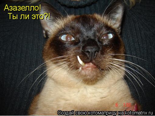 Азазелло! Ты ли это?!... Котоматрица: Азазелло! Ты ли это?!