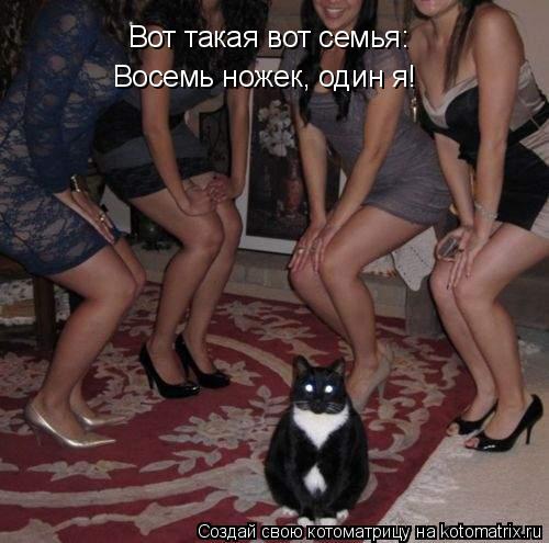 Вот такая вот семья: Восемь ножек, один я!... Котоматрица: Вот такая вот семья: Восемь ножек, один я!