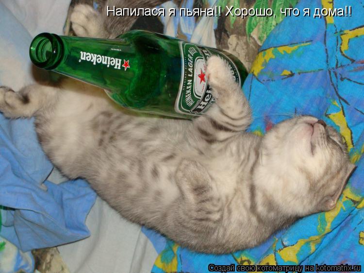 Напилася я пьяна!! Хорошо, что я дома!! Напилася я пьяна!! Хорошо, что я дома!!... Котоматрица: Напилася я пьяна!! Хорошо, что я дома!! Напилася я пьяна!! Хорошо, что я дома!!