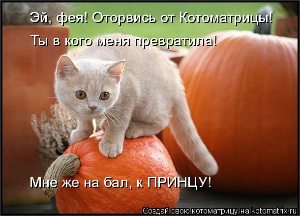 Эй, фея! Оторвись от Котоматрицы! Ты в кого меня превратила! Мне же на бал, к ПРИНЦУ!... Котоматрица: Эй, фея! Оторвись от Котоматрицы! Ты в кого меня превратила! Мне же на бал, к ПРИНЦУ!