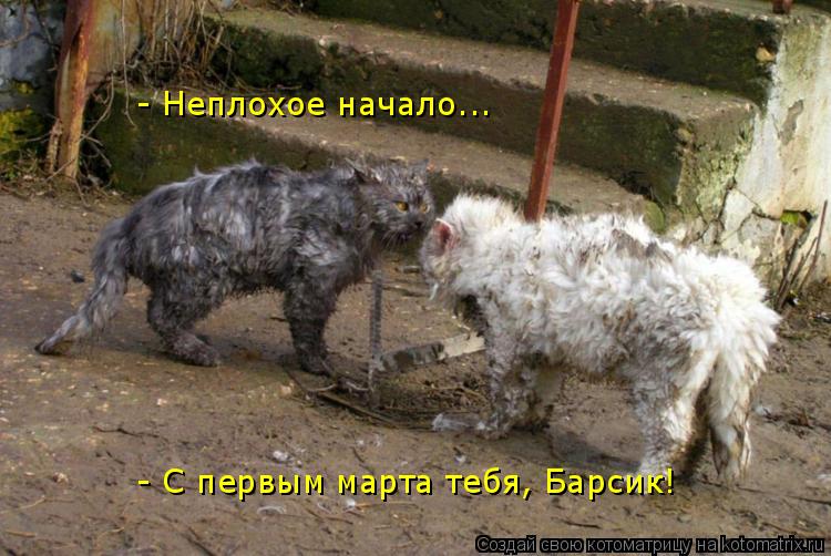 Котоматрица: - С первым марта тебя, Барсик! - Неплохое начало...