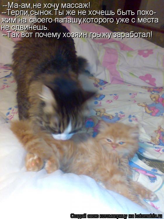 --Ма-ам,не хочу массаж! --Терпи,сынок.Ты же не хочешь быть похо- жим на своего папашу,которого уже с ... Котоматрица: --Ма-ам,не хочу массаж! --Терпи,сынок.Ты же не хочешь быть похо- жим на своего папашу,которого уже с места не сдвинешь. --Так вот почему хозяин г