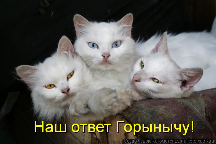 Наш ответ Горынычу!... Котоматрица: Наш ответ Горынычу!