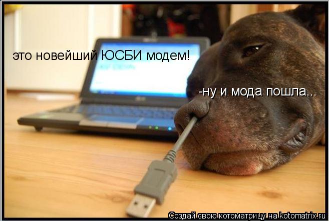 это новейший ЮСБИ модем! -ну и мода пошла...... Котоматрица: это новейший ЮСБИ модем! -ну и мода пошла...