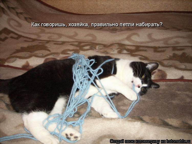 Как говоришь, хозяйка, правильно петли набирать?... Котоматрица: Как говоришь, хозяйка, правильно петли набирать?
