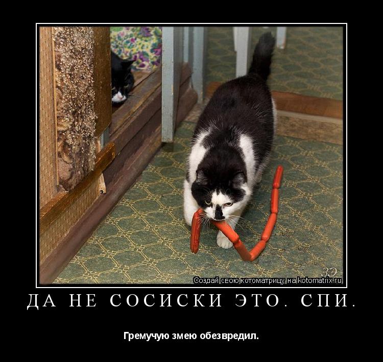 Да не сосиски это. Спи. Гремучую змею обезвредил.... Котоматрица: Да не сосиски это. Спи. Гремучую змею обезвредил.