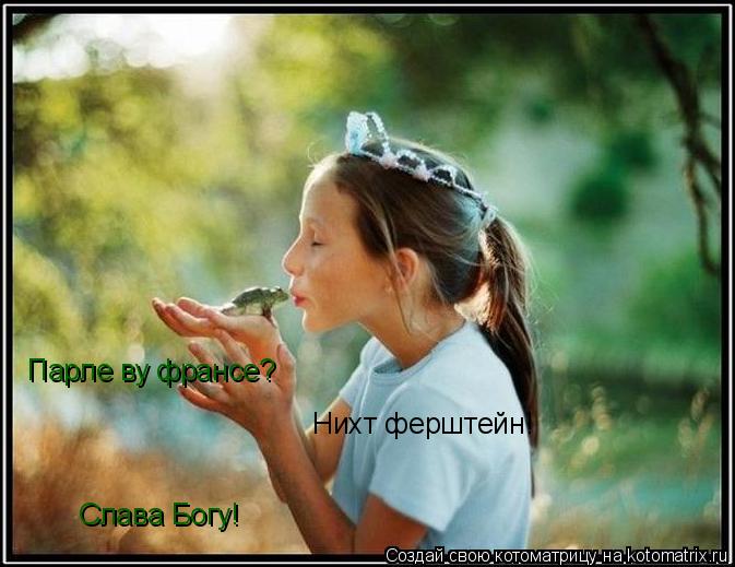 Парле ву франсе? Нихт ферштейн! Слава Богу!... Котоматрица: Парле ву франсе? Нихт ферштейн! Слава Богу!