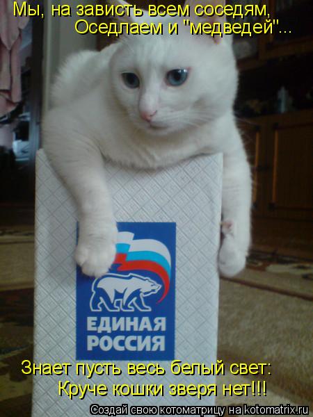 Мы, на зависть всем соседям, Оседлаем и "медведей" ... Знает пусть весь белый свет: Круче кошки зверя... Котоматрица: Мы, на зависть всем соседям, Оседлаем и "медведей" ... Знает пусть весь белый свет: Круче кошки зверя нет!!!