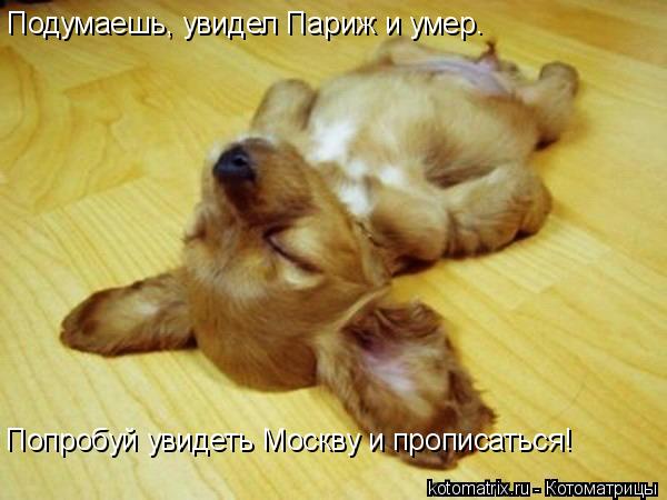 Подумаешь, увидел Париж и умер. Попробуй увидеть Москву и прописаться!... Котоматрица: Подумаешь, увидел Париж и умер. Попробуй увидеть Москву и прописаться!